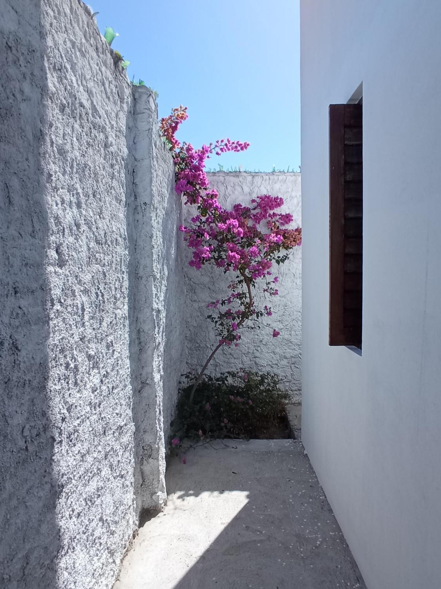 Casa Inti De Maracajau别墅 外观 照片